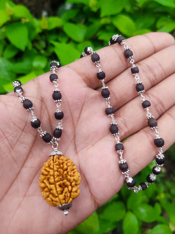 Two Mukhi Rudraksh Mala - Image 2