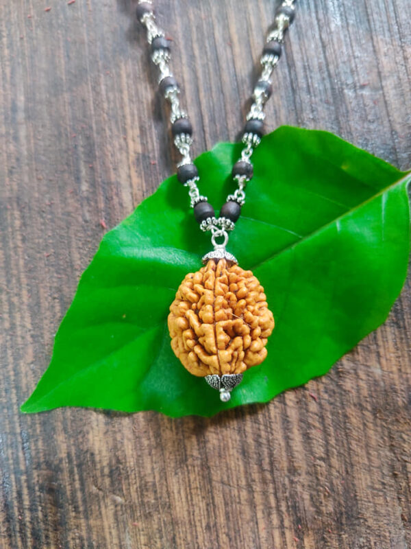 Two Mukhi Rudraksh Mala - Image 3