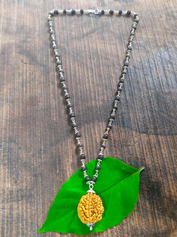 Two Mukhi Rudraksh Mala