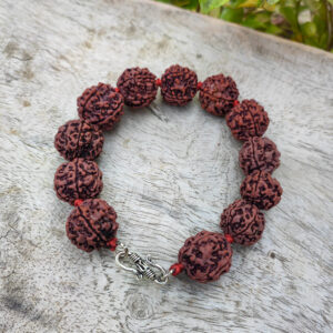 Divine Rudraksha Bracelet